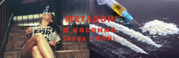 трава Корсаков