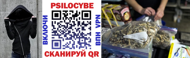 Купить  Зарайск  Галлюциногенные грибы мицелий 